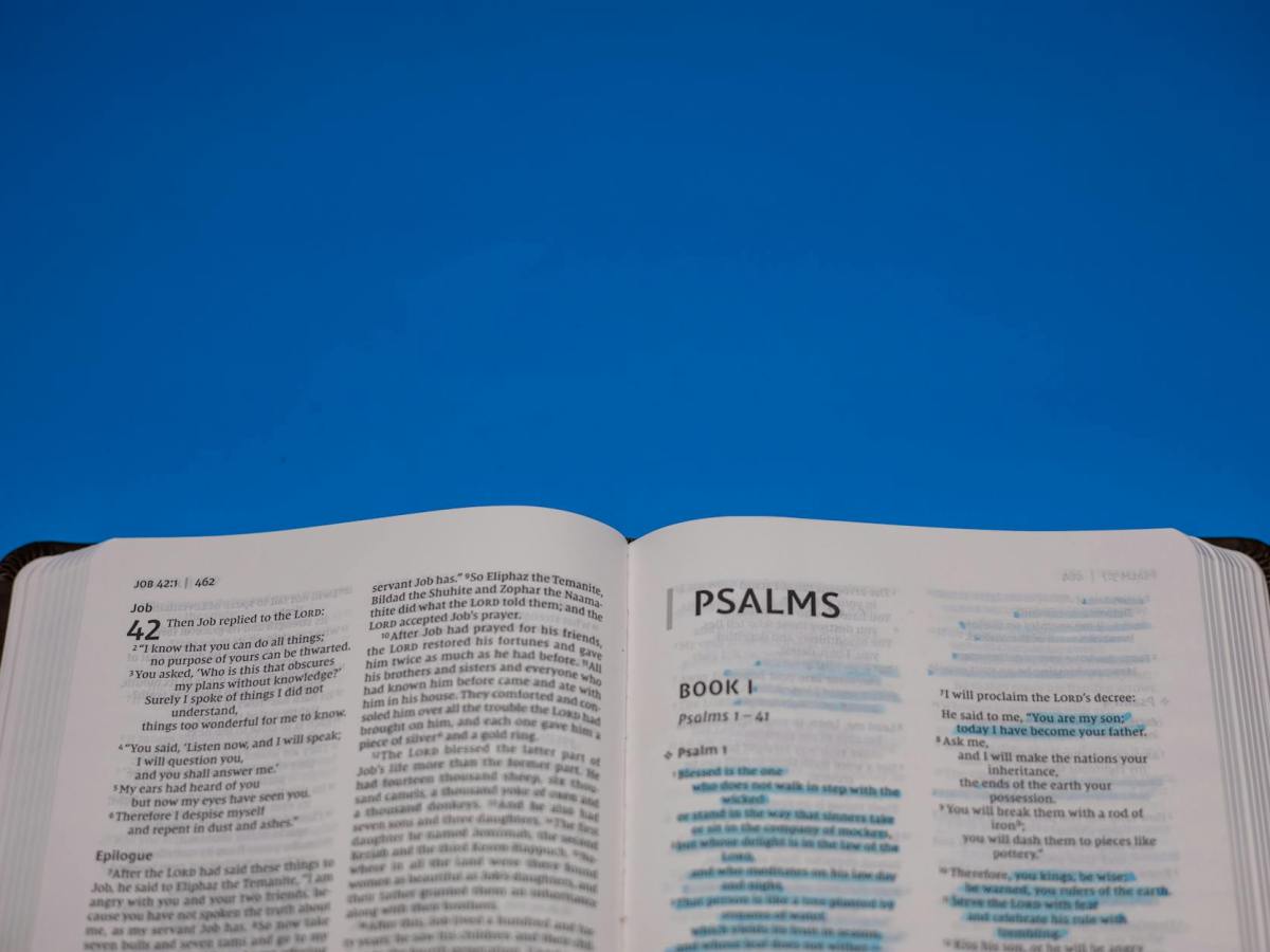 The Book of Psalms: Theological Journaling (With&nbsp;Audio)